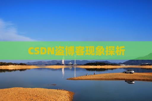 CSDN盗博客现象探析